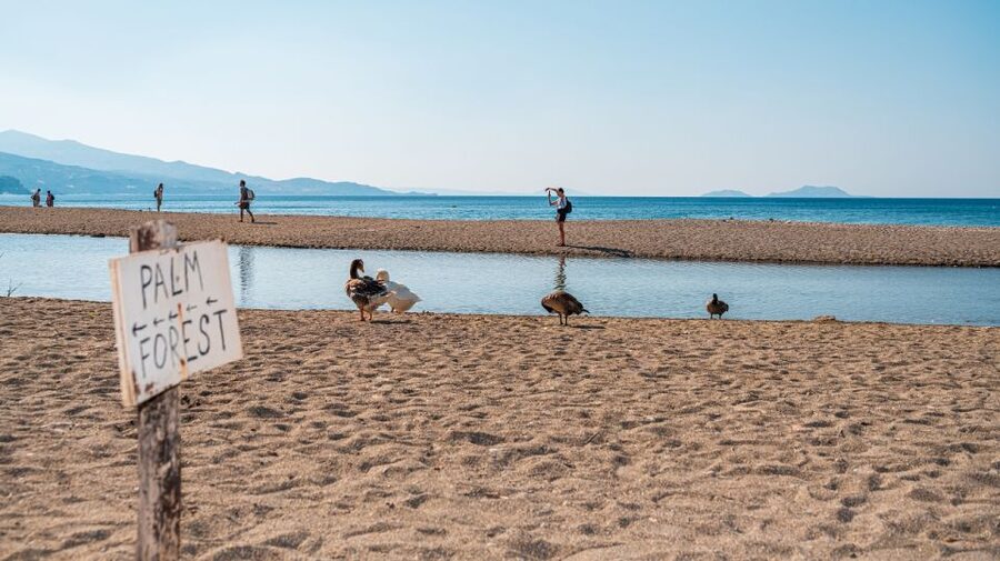 Crete: Preveli Tropical Beach and Palm Forest - Arriving at Preveli Beach