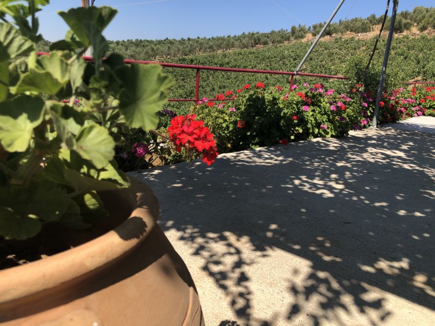 Crete Private Tour: The Secrets of Wine, Olives & Honey - Garazo’s stone lanes and village traditions