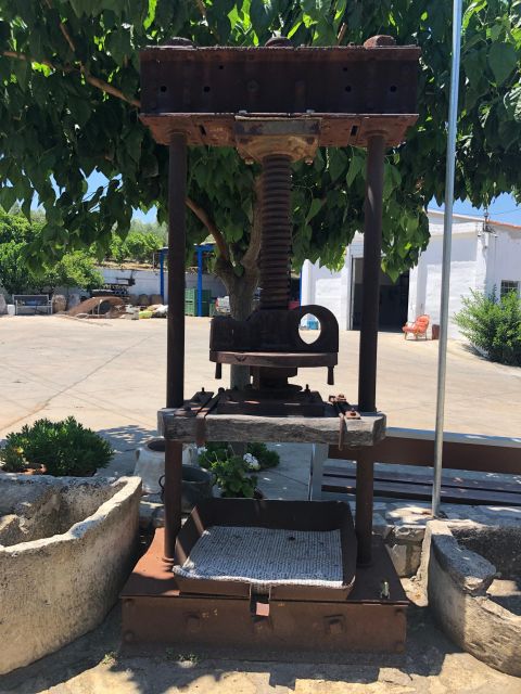 Crete Private Tour: The Secrets of Wine, Olives & Honey - Who will enjoy this Crete outing most