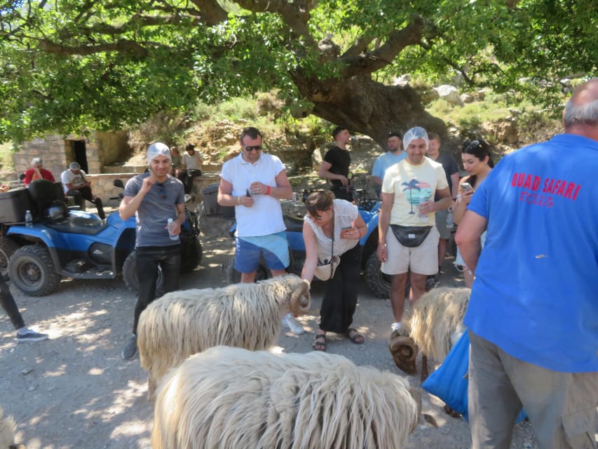 Crete Quad Safari Off-Road,Breathtaking Scenery&Amazing View - From Malia Palace to Epano Sisi