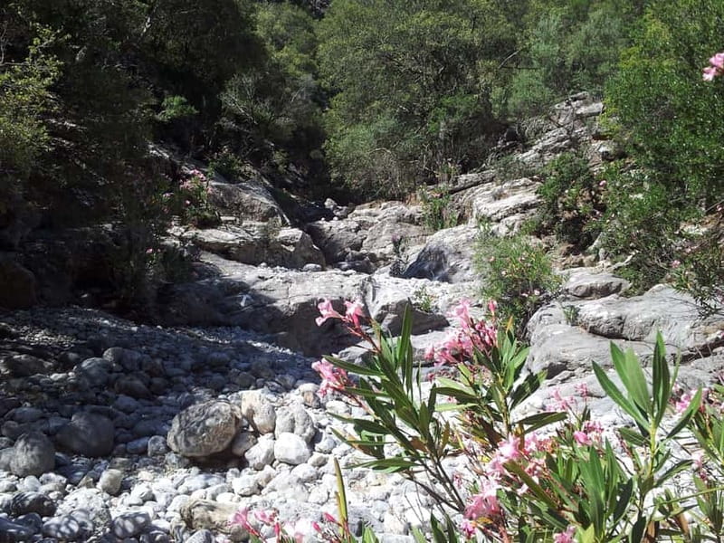 Crete: Richtis Waterfall Full-Day Tour with Olive Tasting - Swimming beneath Richtis Waterfall