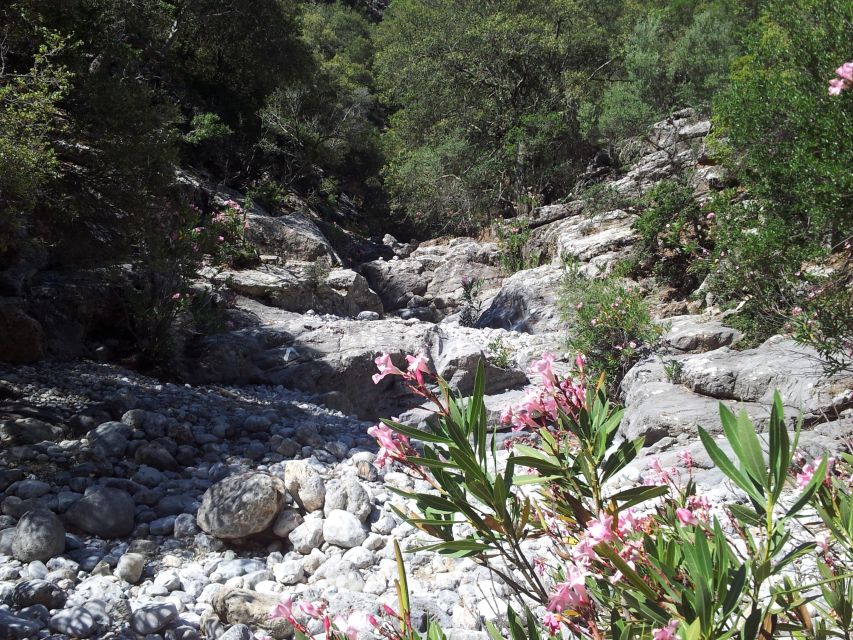 Crete: Richtis Waterfall Full-Day Tour with Olive Tasting - A generous lunch at a local taverna
