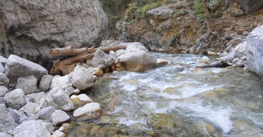 Crete: Samaria Gorge Hiking with transfer and expert Escort - The Omalos Plateau starts the descent