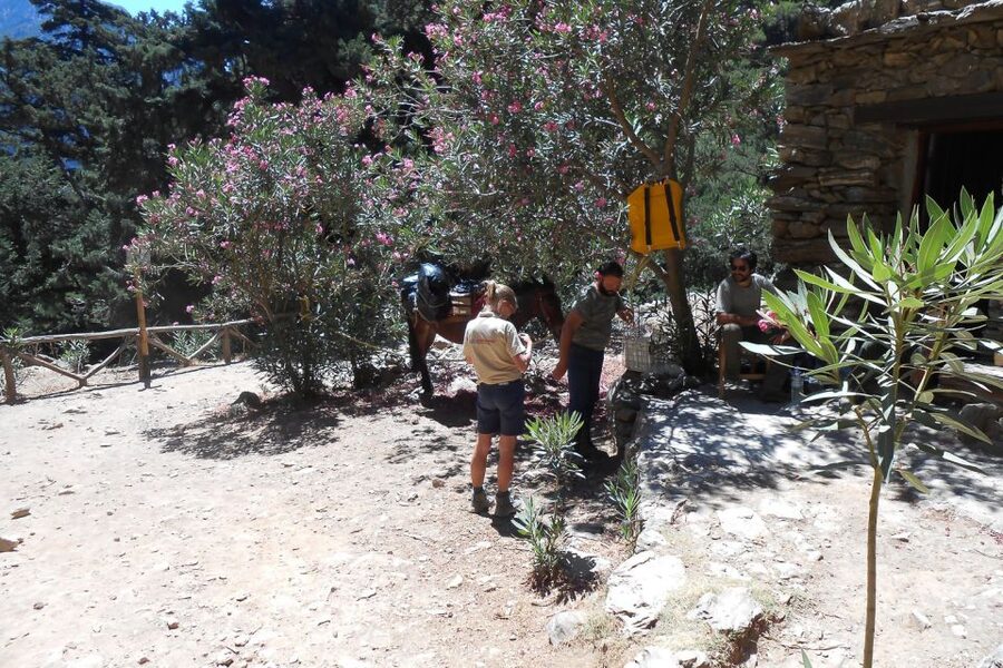 Crete: Samaria Gorge Hiking with transfer and expert Escort - Four to six hours on a rocky trail