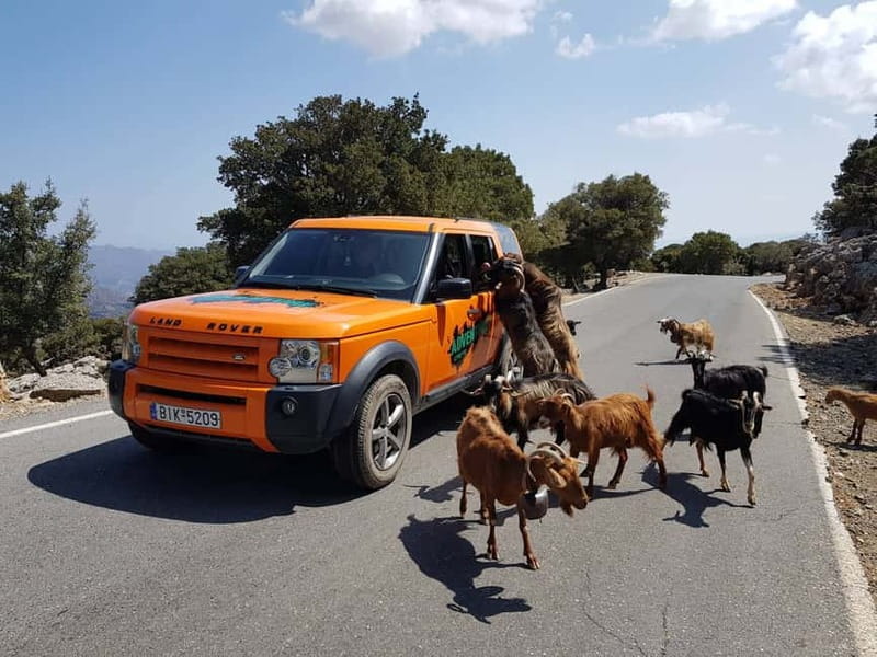 Crete: Sarakina Gorge, Forests, and South Coast Safari - A full day across Crete, not just a gorge walk