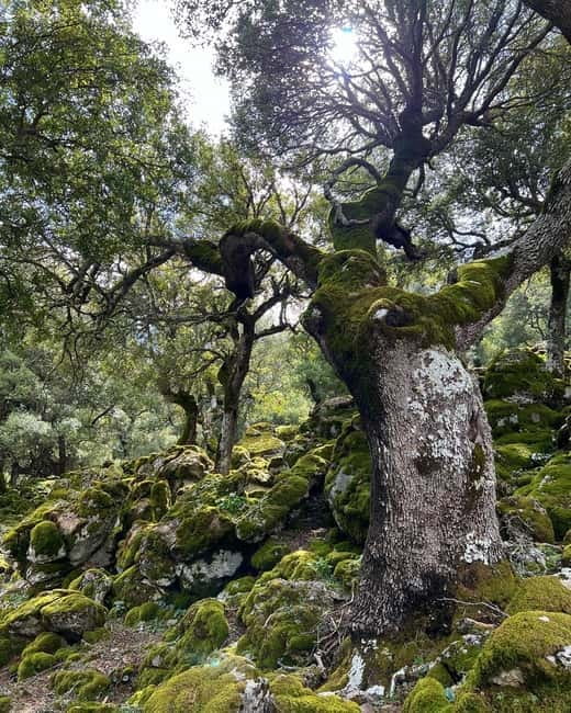 Crete: Sarakina Gorge, Forests, and South Coast Safari - Finishing beside the Libyan Sea