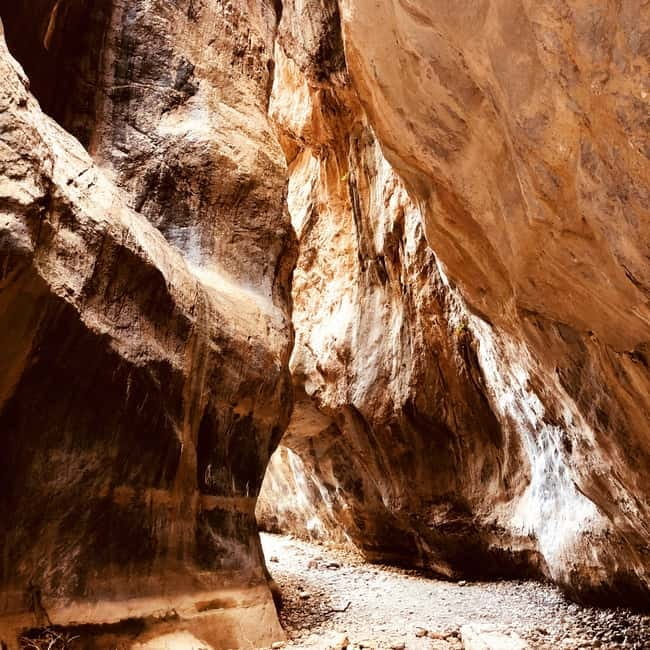 Crete: Sarakina Gorge, Forests, and South Coast Safari - Olive oil tasting in Agios Nikolaos
