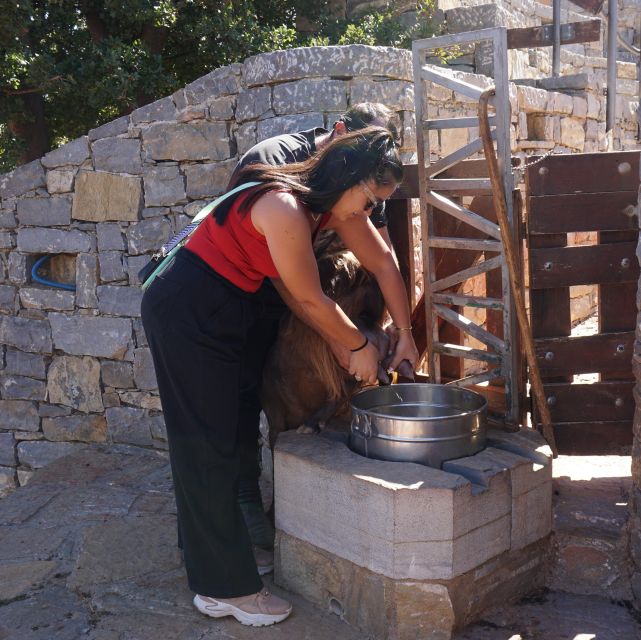 Crete: Shepherd’s Life & Psiloritis Mountain Tour with Meal - Milking, cheese making, and cheese pies