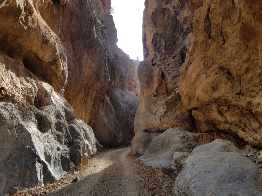 Crete: Tripitis Gorge South Crete Guided Jeep Safari - Key points to know before booking