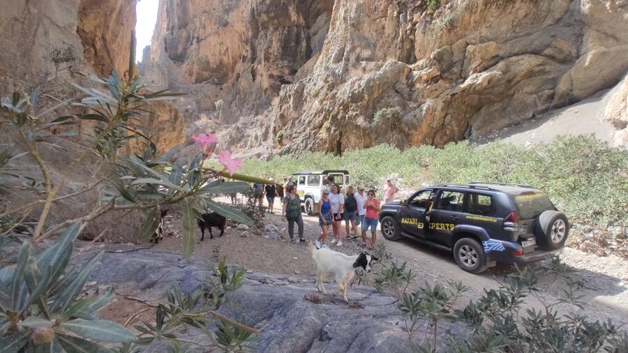 Crete: Trypiti Beach Off-Road South Tour w/ Lunch & Wine - A coffee stop in Agia Varvara