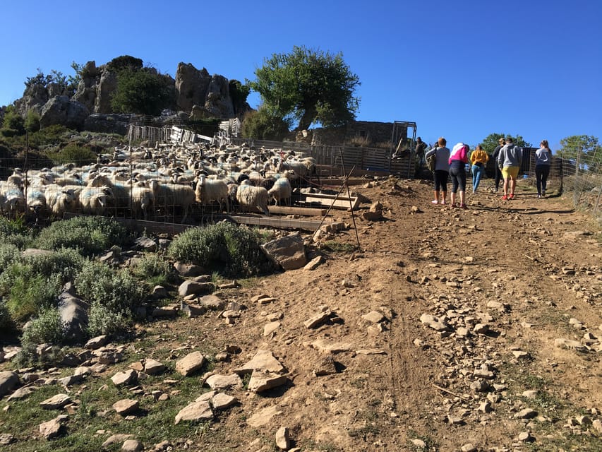 Crete: White Mountains Preserve Day Tour - Six villages and a slower view of Crete