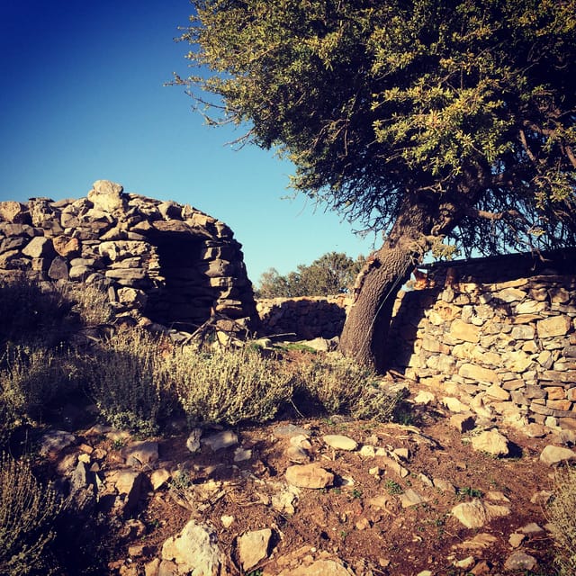 Crete: White Mountains Preserve Day Tour - From Chania’s coast to Crete’s orange country