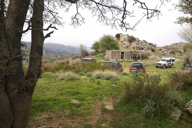 Crete White Mountains Safari Including Lunch - Lunch in Therisso, with Cretan food on the table