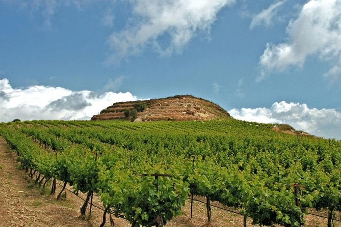 Crete Wine and Olive Oil Tour - Key points to know before booking