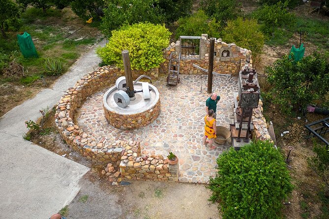 Crete Wine and Olive Oil Tour - From Chania to the vineyards of Kissamos