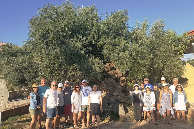 Crete Wine and Olive Oil Tour - Is $145.18 a fair price?
