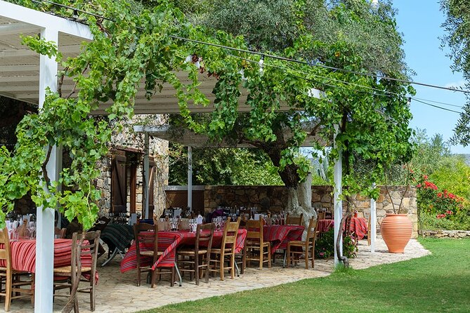 Crete Wine and Olive Oil Tour - Who should book this Cretan wine tour?