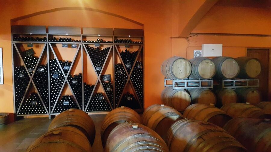 Discover Taste of Crete: Guided Winery Tour and Tastings - Who should book this wine tour