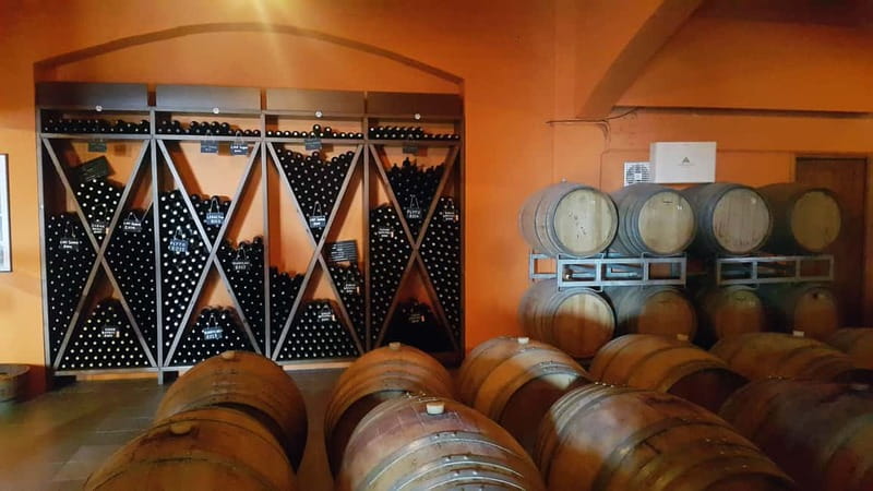 Discover Taste of Crete: Guided Winery Tour and Tastings - The guide adds the human side