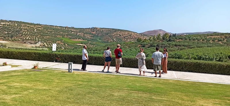 Discover Taste of Crete: Guided Winery Tour and Tastings - Transport is part of the value