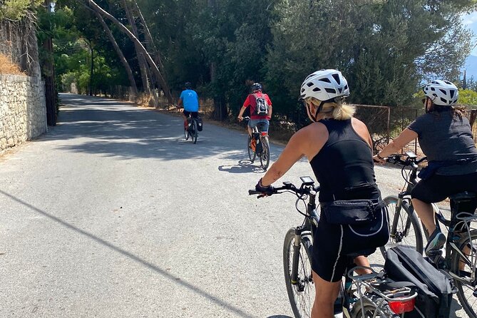 E-Bike Tour with Wine Tasting in Dafnes, Heraklion - From Ammoudara Beach to Crete’s wine country
