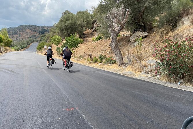 E-Bike Tour with Wine Tasting in Dafnes, Heraklion - Small groups make the ride easier