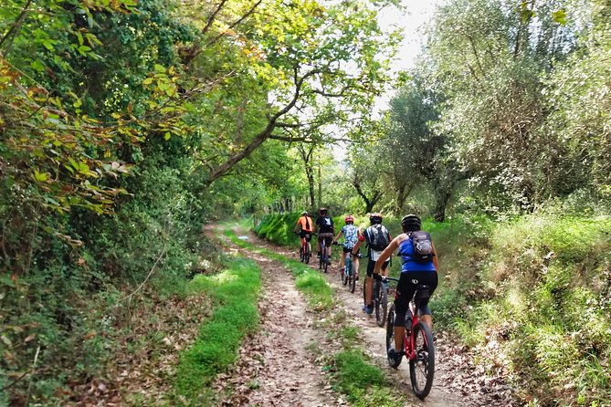 Eleftherna E-Bike and MTB Tour - Experience The Authentic Crete - Riding inland from Panormos at 9:30 am
