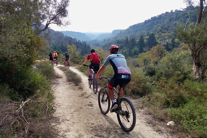 Eleftherna E-Bike and MTB Tour - Experience The Authentic Crete - Getting used to the e-bike before the hills