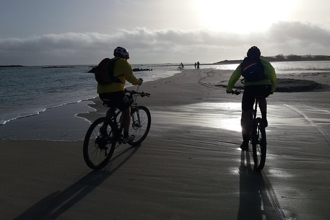 Eleftherna E-Bike and MTB Tour - Experience The Authentic Crete - E-bike comfort versus mountain-bike challenge