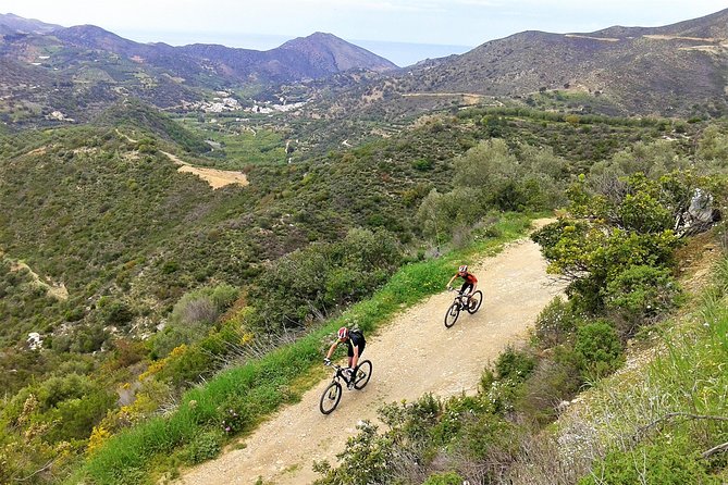 Eleftherna E-Bike and MTB Tour - Experience The Authentic Crete - What the $90.51 price means