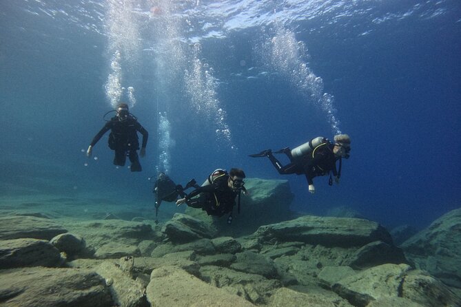 Experience Scuba Diving in Heraklion Crete - The underwater portion and the return to shore