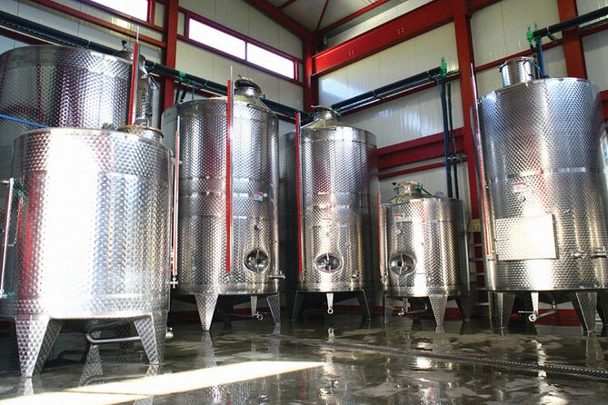 Explore the Secrets of Wine and Olives - Who will enjoy this day most