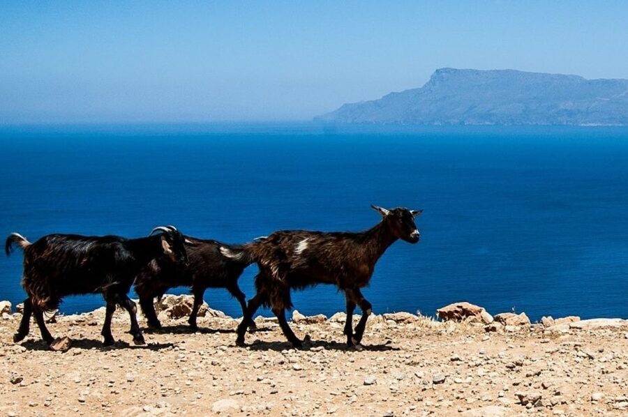 From Chania: Balos Lagoon & Falassarna Private 4WD Road Trip - A relaxed afternoon at Falassarna Beach