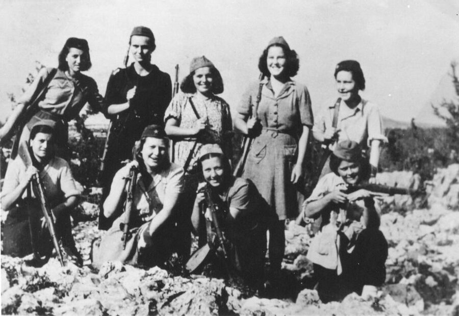From Chania: Crete World War II History Tour - Price, group size, and overall value
