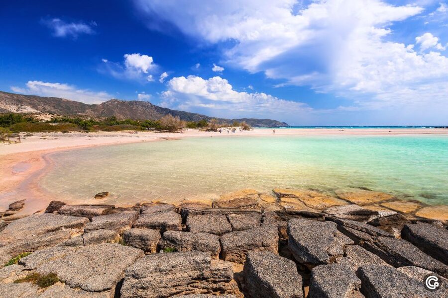 From Chania: Day Trip to Elafonisi Island Pink Sand Beach - The guides and drivers make a real difference