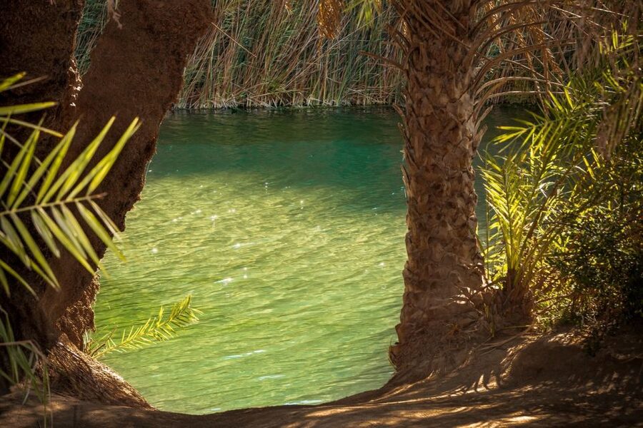From Chania: Day Trip to Preveli Beach & Damnoni Beach - The river, palms, and a short walk inland