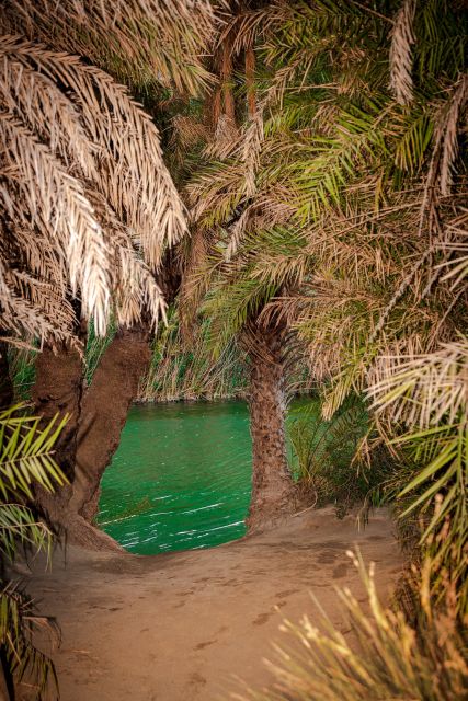From Chania: Day Trip to Preveli Beach & Damnoni Beach - Who should book this day trip