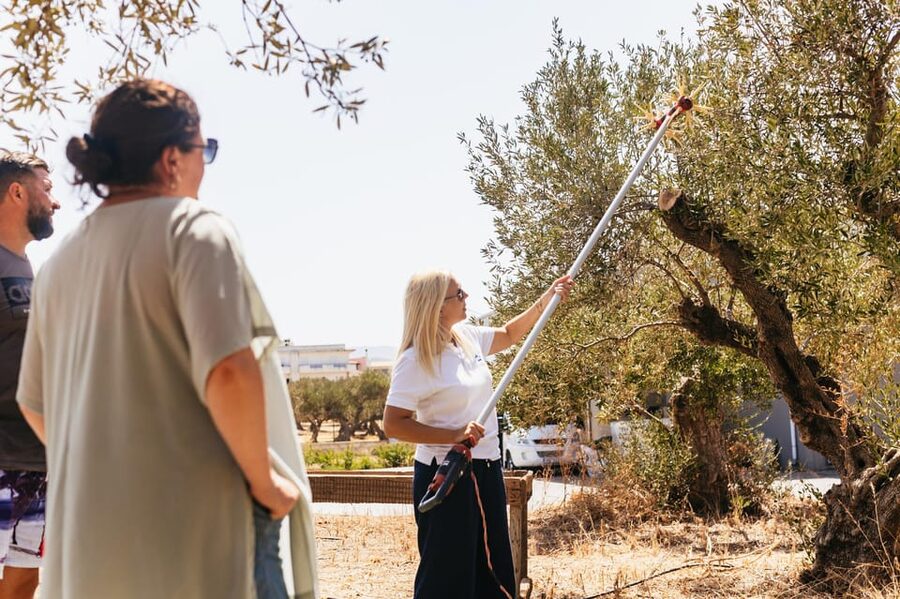 From Chania: Elafonisi and Falasarna Guided Tour with Snacks - Who should book this day trip?
