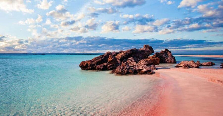 From Chania: Elafonisi Island Day Tour by Bus - Key points to know before booking