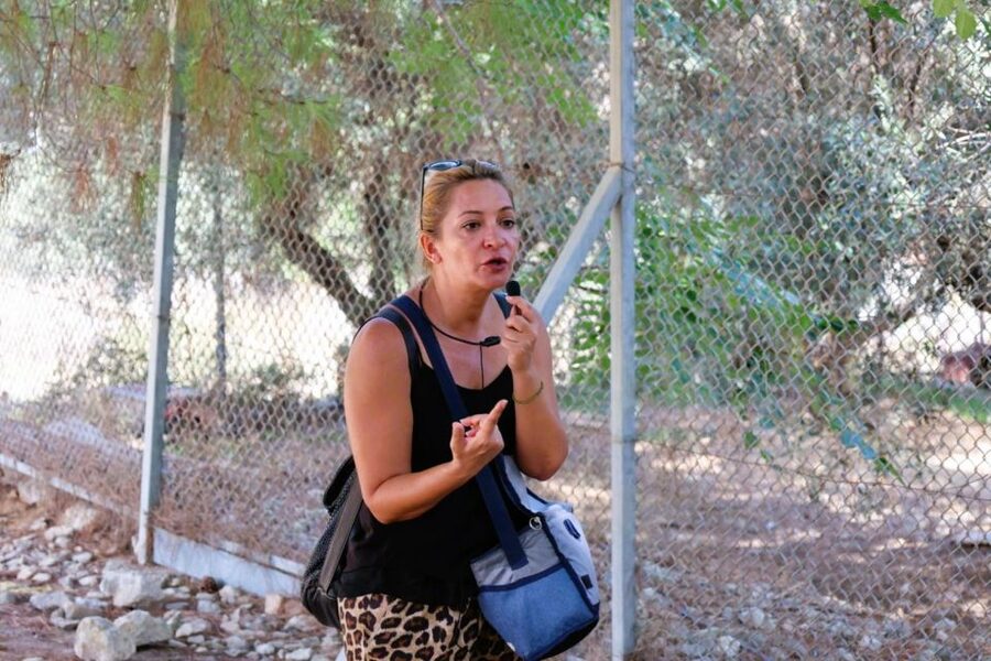 From Chania: Full-Day Heraklion Highlights Guided Tour - The small details that improve the day