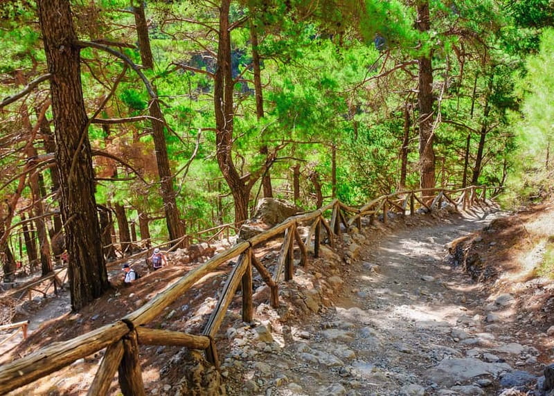 From Chania: Full-Day Samaria Gorge Trek Excursion & Guide - The rocky walk and its real difficulty