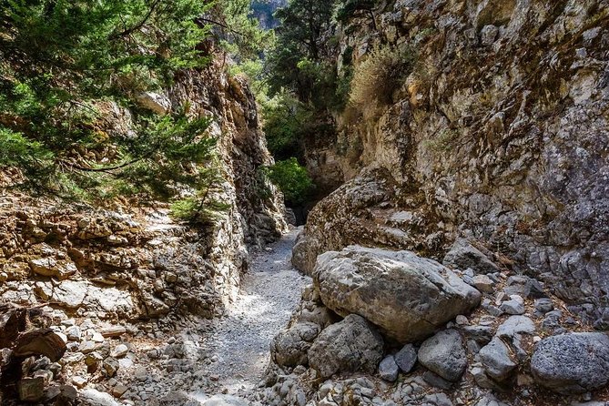 From Chania: Imbros Gorge and Sfakia Experience Hike & Swim - The coach ride from Chania to the mountains