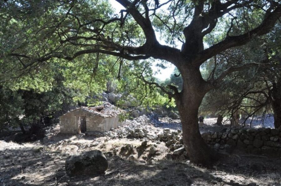 From Chania: Imbros Gorge Guided Hike and Village Visit - Key points at a glance