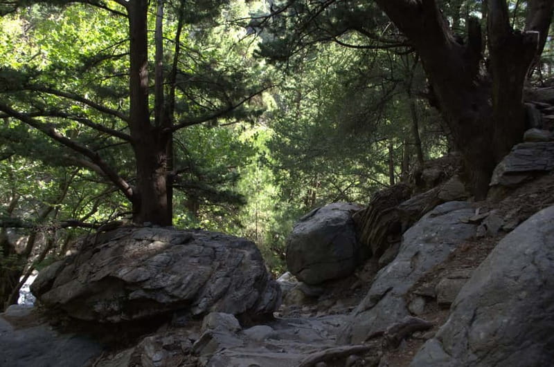 From Chania/Kalyves: Full-Day Samaria Gorge Hiking Day Trip - Final verdict: a demanding day with a strong payoff
