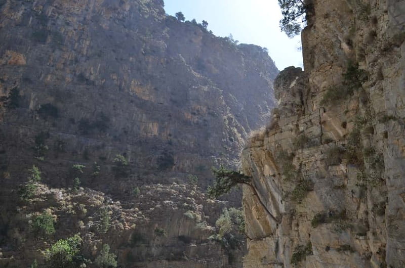 From Chania/Kalyves: Full-Day Samaria Gorge Hiking Day Trip - Entering at Ksyloskalo and starting downhill