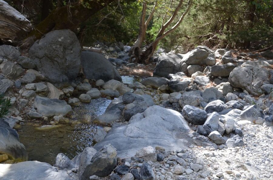 From Chania/Kalyves: Full-Day Samaria Gorge Hiking Day Trip - Rock walls, plants, and the chance of seeing Kri-Kri