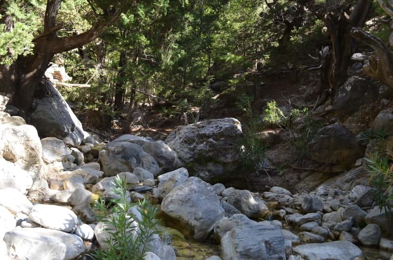 From Chania/Kalyves: Full-Day Samaria Gorge Hiking Day Trip - The final kilometres and arrival in Agia Roumeli