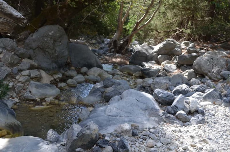 From Chania/Kalyves: Full-Day Samaria Gorge Hiking Day Trip - What the €32.75 price really covers