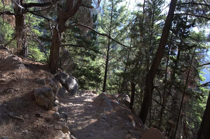 From Chania/Kalyves: Full-Day Samaria Gorge Hiking Day Trip - Who should book this Samaria Gorge trip?