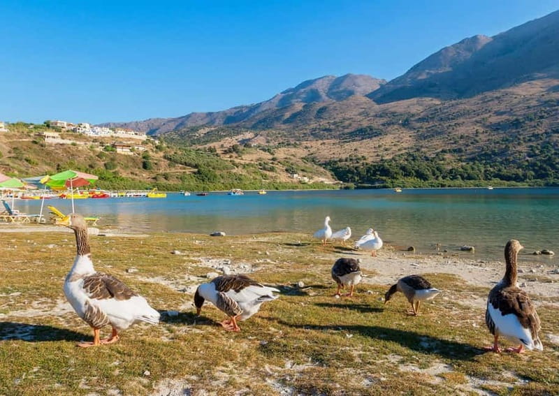 From Chania: Lake Kournas & Argiroupoli Springs Guided Tour - Key points at a glance
